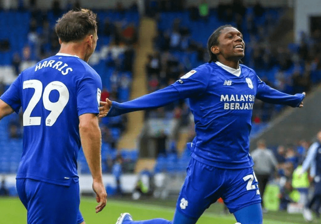 包含卡迪夫城实力强劲，争取保级成功的词条