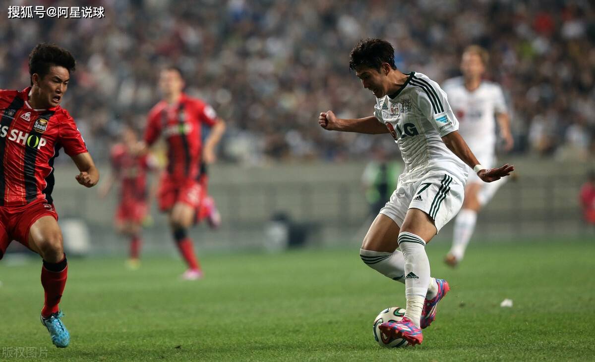 关于芬兰国家队保持不败，士气高昂战至最终的信息